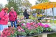 Regionalmarkt Herbst 2024